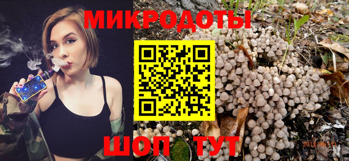 Галлюциногенные грибы Psilocybine cubensis Зерноград